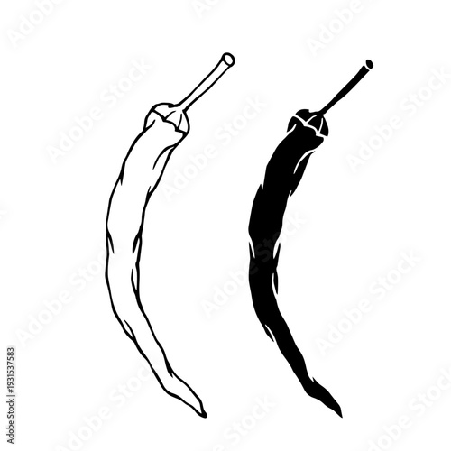 Line sketch, stamp of hot chili pepper pods. Simple vegetable doodles. Vector graphics.