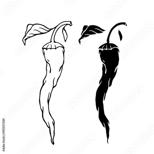 Line sketch, stamp of hot chili pepper pods. Simple vegetable doodles. Vector graphics.
