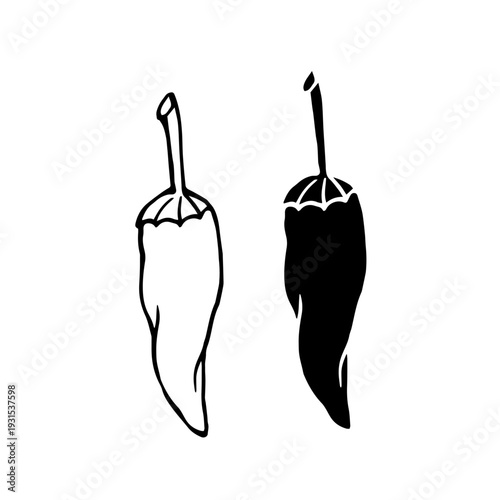 Line sketch, stamp of hot chili pepper pods. Simple vegetable doodles. Vector graphics.