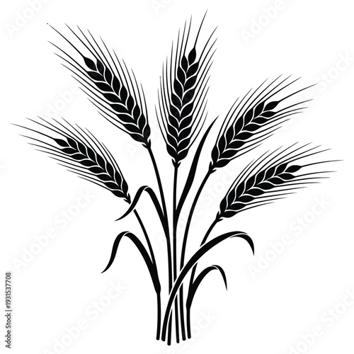 Wheat Ears Grain Harvest Silhouette Vector — Cereal Crop Agriculture Farm Black Isolated Clipart