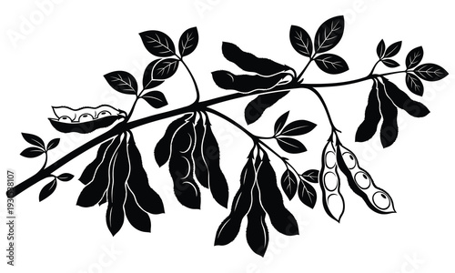 Soy Beans Legume Pod Silhouette Vector — Soybean Plant Agriculture Black Isolated Clipart