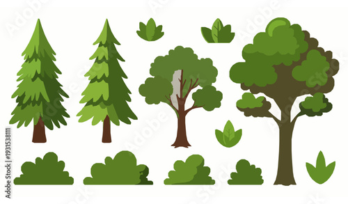 Cartoon forest trees vector set with coniferous and deciduous plants