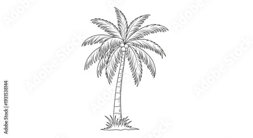 Detailed illustration of a tall palm tree with lush leaves on a plain white background symbolizing tropical vacations and relaxation