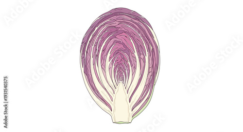 Red Onion Bulb with Purple Layers.
