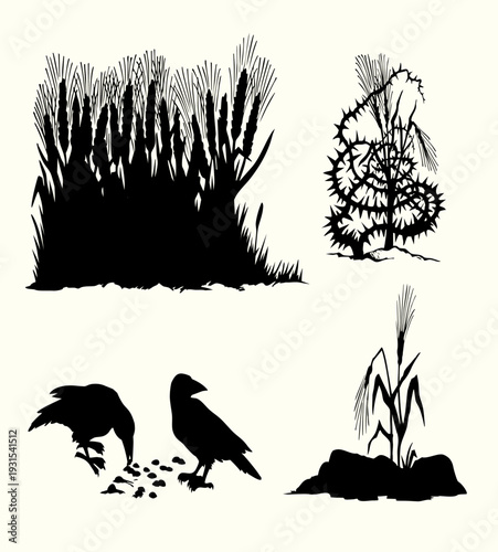 Vector drawing. Old wheat field. Biblical parable