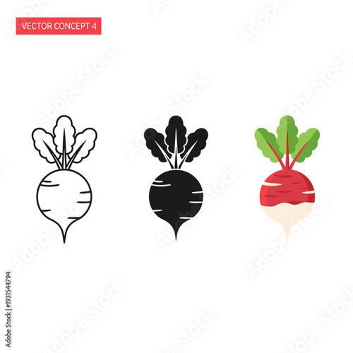 Three illustrations of beets in different colors and styles Vector