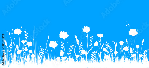 fiori, natura, primavera, campagna, campo di fiori,