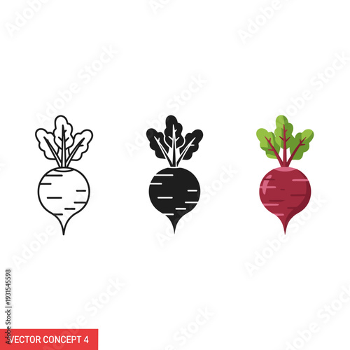 Vector concept of beets in different colors and styles Vector