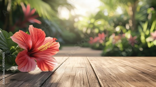 Vibrant Red Hibiscus Flower on Wooden Table in Tropical Garden with Sunlight hibiscus flower garden