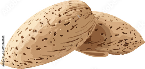 Almond Nuts in Shell Isolated on White Background, Organic Healthy Snack Food Vector Illustration