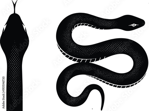 Snake silhouette vector illustration, black serpent with coiled body and detailed scales, reptile animal design isolated on white background