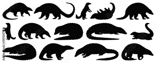 Pangolin Silhouettes Collection in Various Poses Isolated on Transparent Background