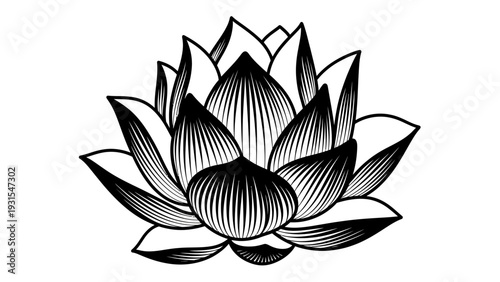 Clean Vector Silhouette of a Symmetrical Lotus Flower with Open Petals. transparent