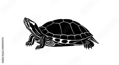 Tranquil Silhouette of a Red-Eared Slider Turtle Basking