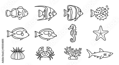 Collection of Simple Black and White Sea Creatures.
