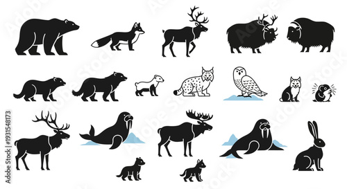 Collection of Various Animal Silhouettes.