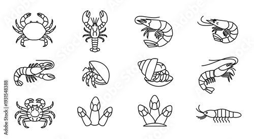 Collection of Various Seafood Illustrations.