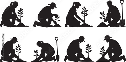 Silhouette of a person planting a tree in various stages