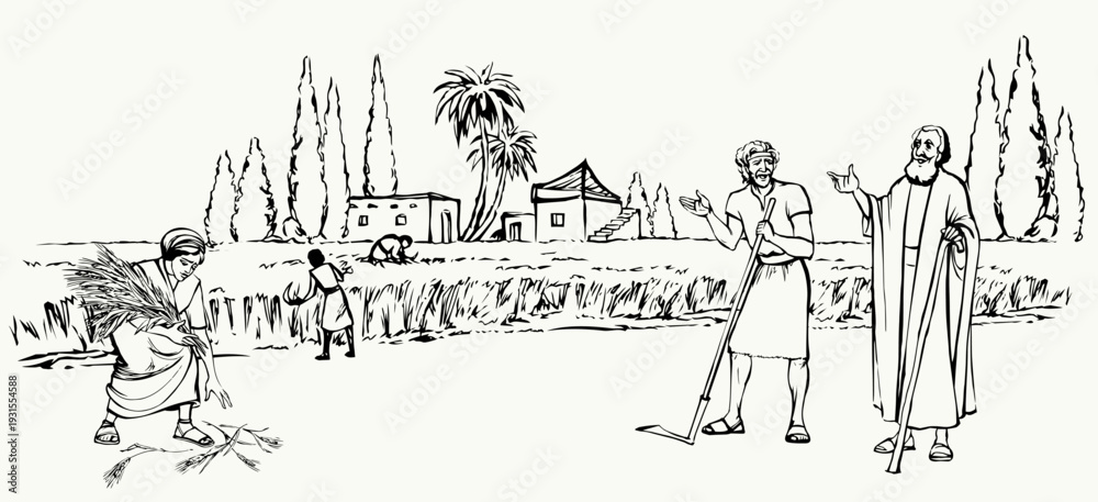 Fototapeta premium Vector drawing. Ruth and Boaz in the field