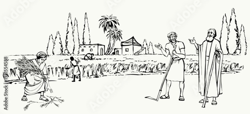 Vector drawing. Ruth and Boaz in the field