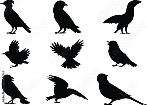 Black crow and raven bird silhouette vector collection isolated on white background, flying and standing illustration set for logo design