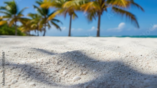 Close up of white sand beach with palm trees and blue sky background