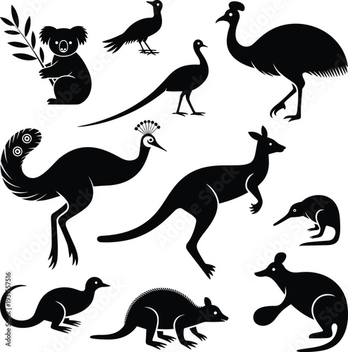 Australian wildlife silhouette collection with kangaroo, koala and native birds, exotic animal vector set isolated on white background