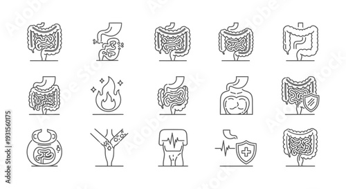 set of line icons illustrating digestive system gut health inflammation and protection concepts ideal for medical presentations.