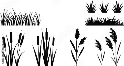 Black grass and reed silhouette collection with meadow plants and cattails, botanical nature vector set isolated on white background for design