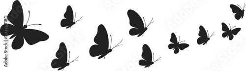 Collection of Black Butterfly Silhouettes in Flight on White Background butterflies insects