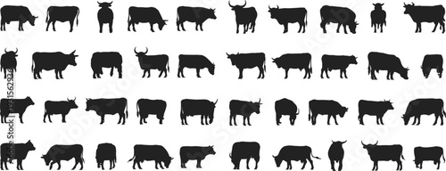 Diverse Collection of Black Cow and Bull Silhouettes in Various Poses cattle livestock