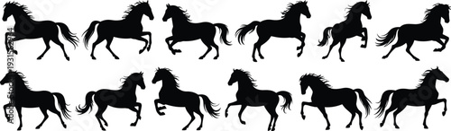 Black horse silhouette collection with running and rearing poses, elegant stallion vector set isolated on white background for design
