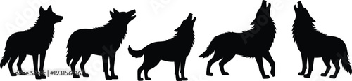 Five Black Silhouettes of Wolves Howling and Standing on White Background animal