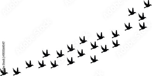 Flock of Birds Silhouettes Flying in Formation Against White Background vector illustration