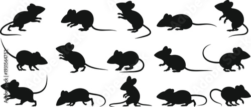 Black mouse silhouette collection featuring various poses and movements, small rodent vector set isolated on white background for design and illustration