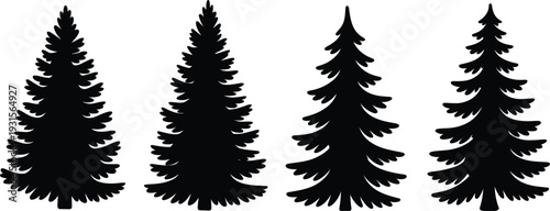 Four black silhouette pine trees of varying widths and heights on a white background fir tree evergreen