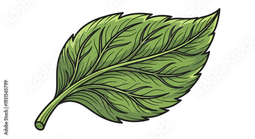 Fresh green leaf icon symbolizing nature, organic growth and environmental sustainability, botanical eco friendly concept illustration, natural plant foliage design, green ecology and renewable life c