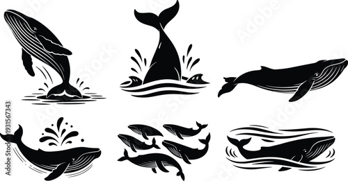 Black whale silhouette collection with breaching and swimming poses, marine mammal vector set isolated on white background for design