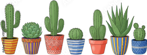 Collection of cactus and succulent plants in colorful patterned pots, hand drawn desert houseplants isolated on white background, decorative indoor botanical illustration set