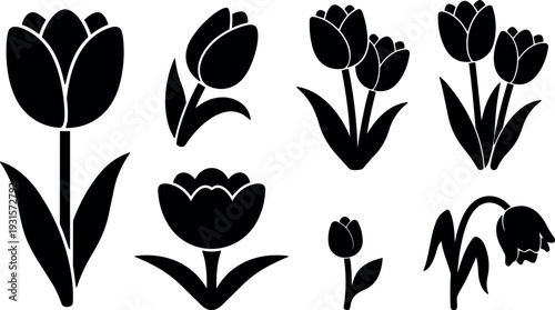 Flat vector silhouette tulip icon set assorted bloom poses isolated on white background close up botanical spring minimal design