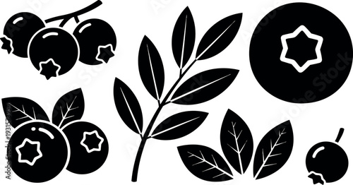 Flat design black blueberry icons cluster branch leaves close up vector art set for packaging labels minimalist silhouette emblem natural