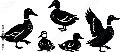 Silhouette vector art five ducks in various poses walking waddling swimming and one flapping wing side view black family simple