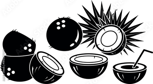 Flat design halved coconut close up with straw and textured shell group on white background minimal vector art