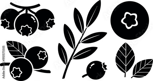 Flat design close up blueberry and leaf icon set showing branch berries and individual berry silhouettes in simple black vector