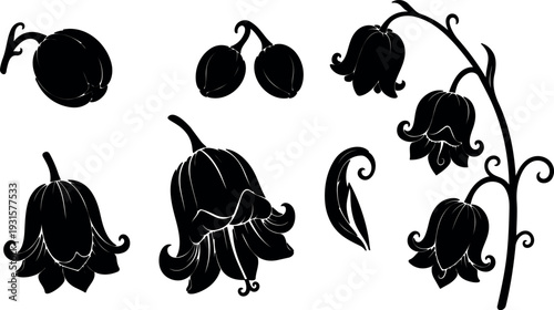 Silhouette flat design close up of drooping bellflower cluster on curved stem with curled petals isolated on white background