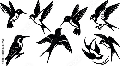 Silhouette vector close up flying hummingbird and swallow collection in dynamic poses black minimal flat design aerial side view ornamental