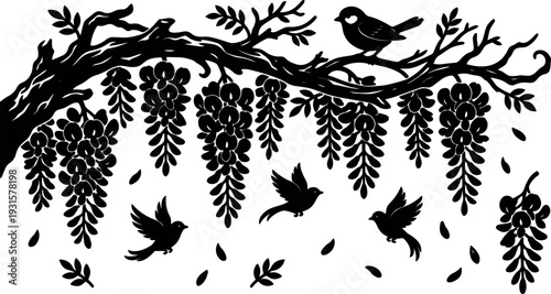 Silhouette vector wisteria branch with hanging blossoms and small birds flying and perched on twisted limb ornamental graceful black composition