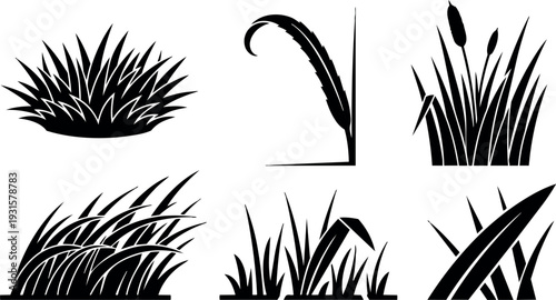 Flat silhouette vector set of six ornamental grass and reed icons close up side view isolated black shapes