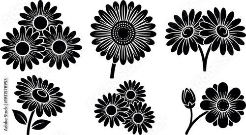 Flat design black daisy and chamomile silhouette icons cluster close up floral stems buds top view simple vector minimalist decorative