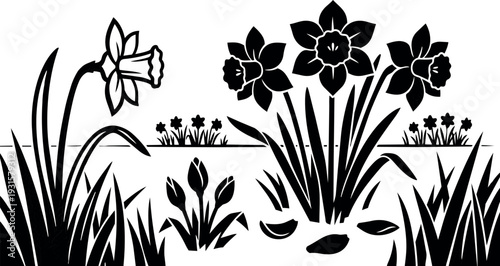 Silhouette vector close up of daffodil and tulip cluster by pond with grass leaves and scattered stones soft spring backlit